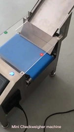 Mini Checkweigher