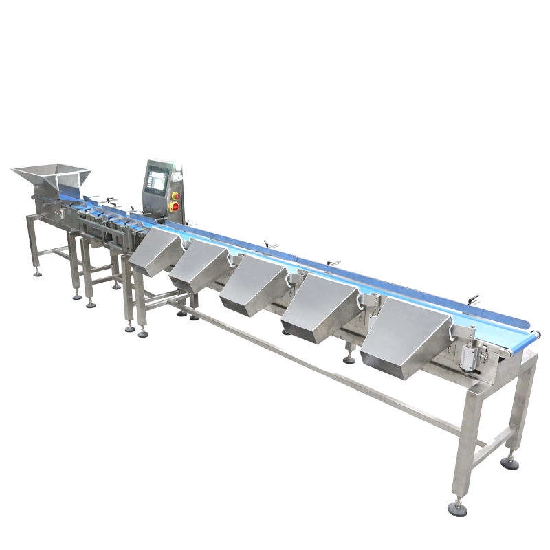 Checkweigher Machine with Multi Weight Sorting