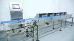 Checkweigher Machine with Multi Weight Sorting