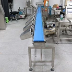 Checkweigher Machine with Multi Weight Sorting